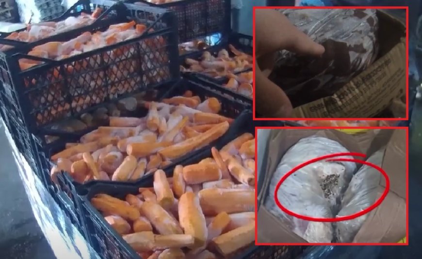 Gürcüstanda "Kula"nın təsisçisi həbs edildi: 500 minlik girov təklifi rədd olundu