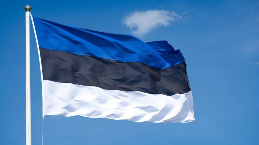 Papuaşvili Estoniya səfirini təhsil islahatına müdaxilə etməkdə ittiham edib