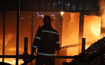 Tbilisidə güclü yanğın: Alov anbarın 2,5 min kvadratmetrdən çox sahəsini məhv edib