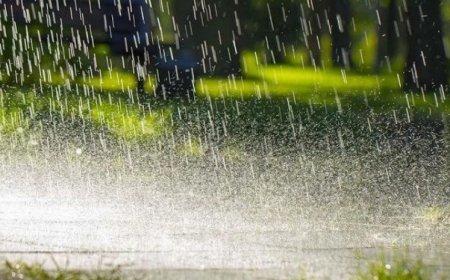 Gürcüstanda həftəsonu hava kəskin dəyişəcək: Yağış, qar və külək