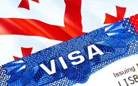 Aİ Gürcüstanın diplomatik və rəsmi pasport sahibləri üçün vizasız rejimi dayandırıb