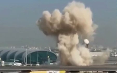 Dubay aeroportu fəaliyyətini qismən bərpa etdi - Video