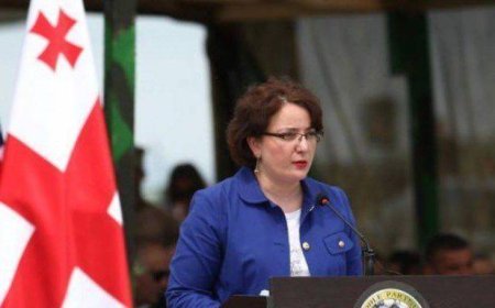 Gürcüstanda iki müxalif siyasətçi Dövlət Təhlükəsizlik Xidmətinə dindirilməyə çağırılıb