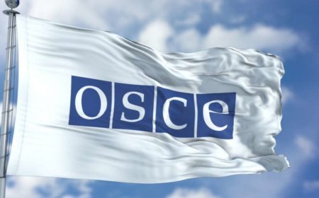 ATƏT PA-nın nümayəndə heyəti Gürcüstana səfər edəcək