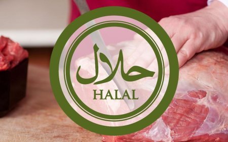 Avropada halal ət qadağan edilir: Bu ölkədə də…