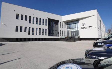 Gürcüstandan 74 xarici ölkə vətəndaşı deportasiya edilib