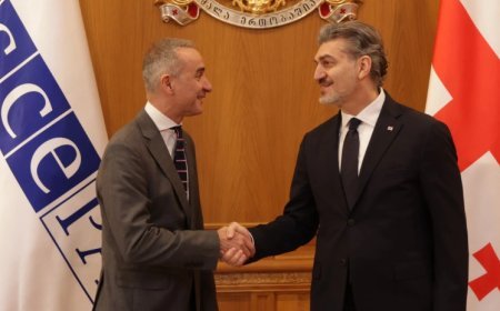 Kavelaşvili ATƏT PA prezidenti ilə ölkədə baş verən siyasi prosesləri müzakirə edib