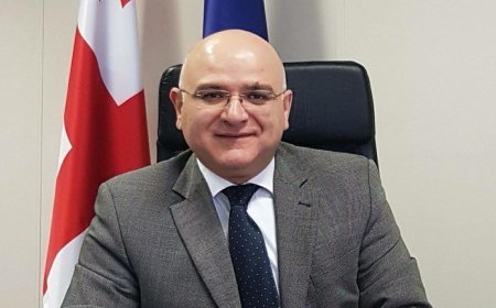 Gürcüstan ATƏT missiyasının hesabatını rədd edib