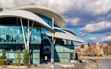 Gürcüstanda şirkətlərin qeydiyyatı dayandırıla bilər