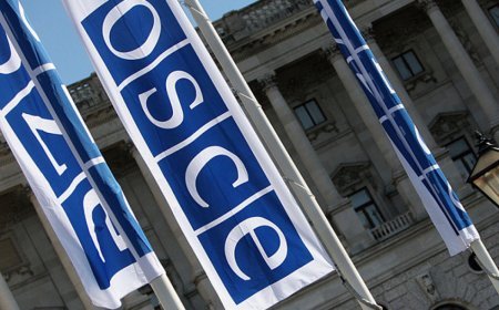 Gürcüstan ATƏT-in tövsiyələrini nəzərə almayacaq