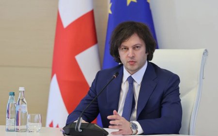 Gürcüstan daim təxribatlara qarşı müdafiə rejimindədir