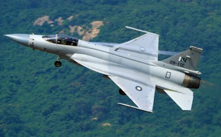 Pakistan Kabilə zərbə endirdi: 400 ölü -VIDEO