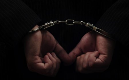 Gürcüstanda mütəşəkkil cinayətkarlığa zərbə: 77 nəfər ifşa olundu