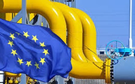 Avropada qazın qiyməti 30% artdı