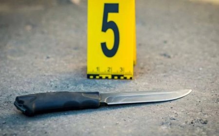 Ozurgetidə qanlı qonşu davası