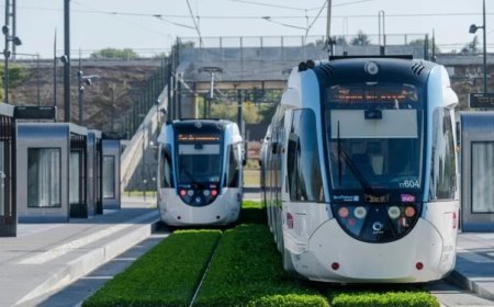 Didi Diğomi-Didube tramvay xəttinin tikintisi üzrə tender martın 31-də başa çatır