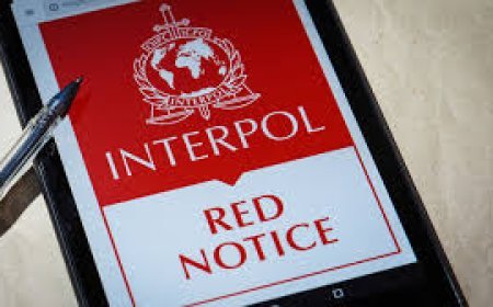 Batumidə "İnterpol" tərəfindən axtarılan Türkiyə vətəndaşı yaxalanıb