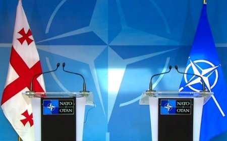 NATO-dan Gürcüstan hesabatı: Azərbaycanla da...