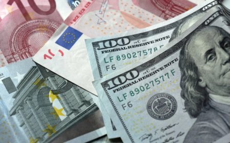 28 mart xarici valyutaların məzənnələri