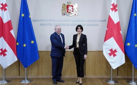Gürcüstan ABŞ ilə strateji tərəfdaşlığı bərpa etməyə hazırdır