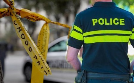 Gürcüstanda saxta sürücülük vəsiqəsi verən 3 polis işdən qovuldu