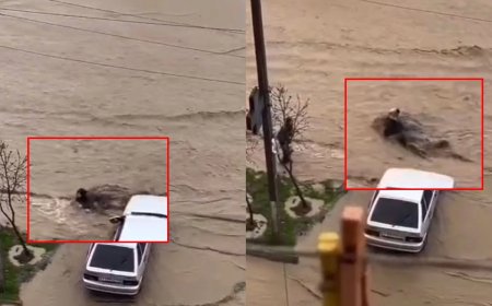 Mahaçqalada güclü yağışın dəhşətli fəsadları: Küçədə qadını su apardı - VİDEO