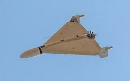 Ərəb ölkələri Ukraynadan yardım istəyir: "Şahid"lə mübarizə...