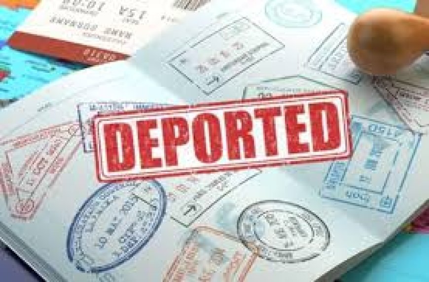 Gürcüstandan Azərbaycan vətəndaşları da daxil olmaqla 98 nəfər deportasiya edilib