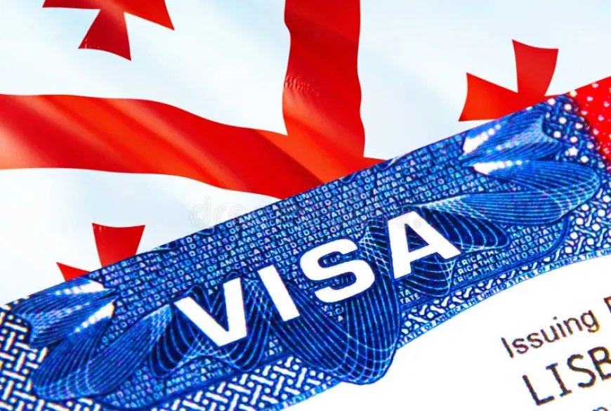 Aİ Gürcüstanın diplomatik və rəsmi pasport sahibləri üçün vizasız rejimi dayandırıb
