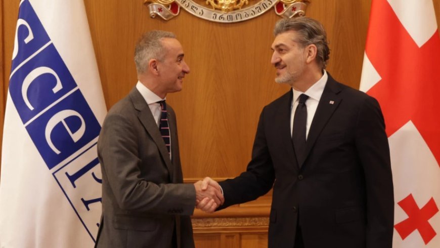 Kavelaşvili ATƏT PA prezidenti ilə ölkədə baş verən siyasi prosesləri müzakirə edib