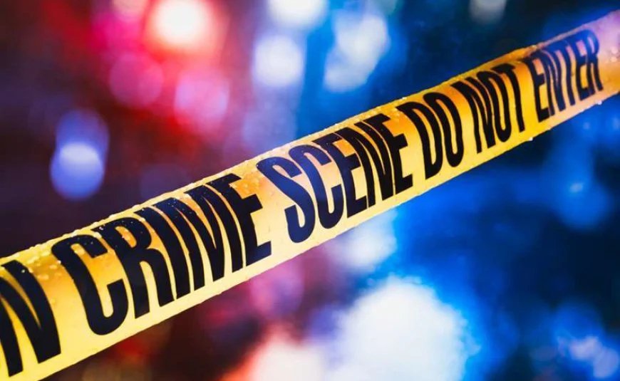 Tbilisidə  yol qəzası: Yük avtomobili piyadanı vuraraq öldürüb