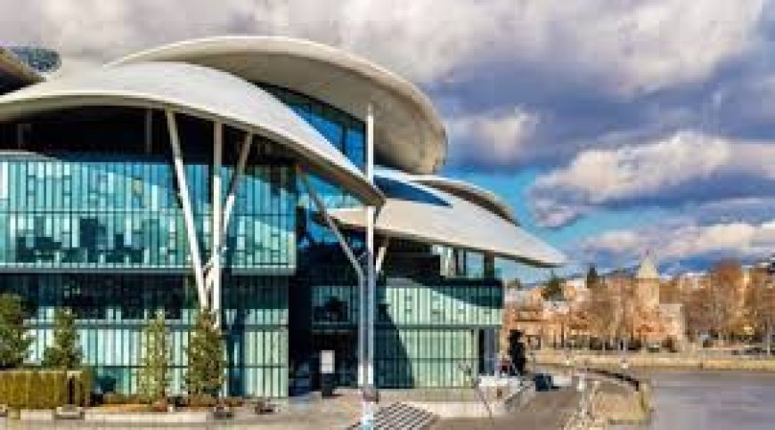 Gürcüstanda şirkətlərin qeydiyyatı dayandırıla bilər