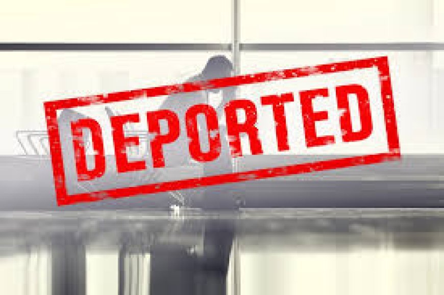 Gürcüstandan Azərbaycan vətəndaşları da daxil olmaqla 78 əcnəbi deportasiya edilib