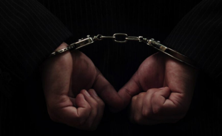 Gürcüstanda mütəşəkkil cinayətkarlığa zərbə: 77 nəfər ifşa olundu