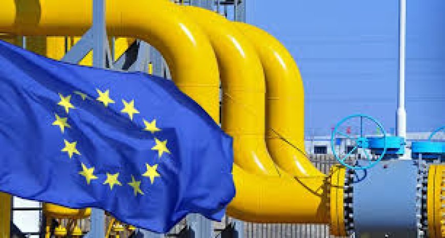 Avropada qazın qiyməti 30% artdı