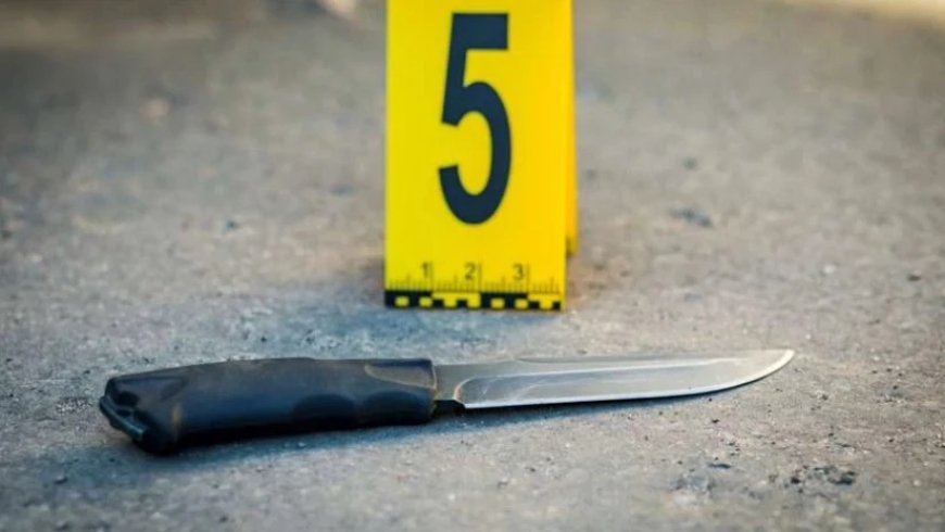 Ozurgetidə qanlı qonşu davası