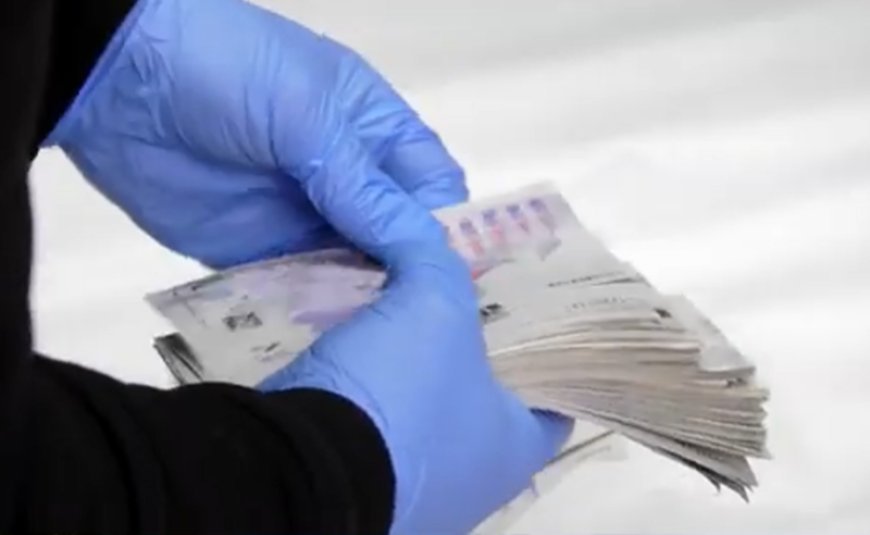 Batumidə terminal fırıldaqçıları saxlanılıb