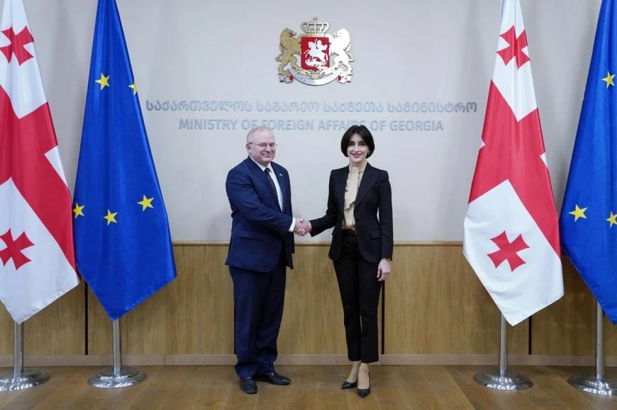 Gürcüstan ABŞ ilə strateji tərəfdaşlığı bərpa etməyə hazırdır