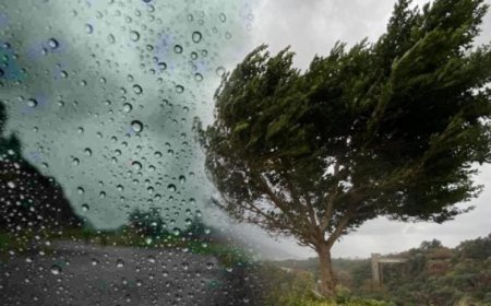 Gürcüstan Milli Ətraf Mühit Agentliyindən XƏBƏRDARLIQ: Güclü külək və yağıntı gözlənilir