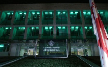 Gürcüstan DTX xarici xüsusi xidmət orqanları ilə əlaqəli şəxsi saxlayıb