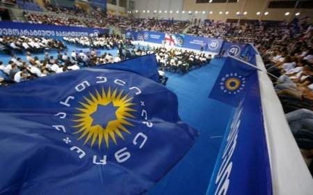 "Gürcü Arzusu" "Qrantlar haqqında Qanun"a yenidən düzəliş təklif edir