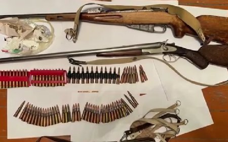 Gürcüstanda qanunsuz silah dövriyyəsinə qarşı genişmiqyaslı əməliyyat: 12 nəfər saxlanılıb