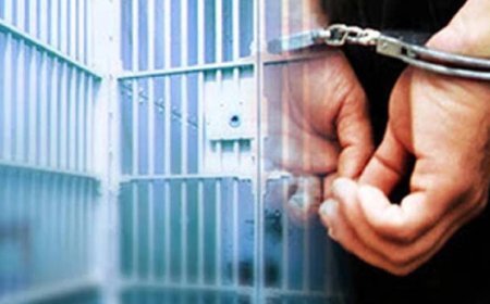 Gürcüstanda şəxsi həyatın toxunulmazlığını pozan şəxs saxlanılıb