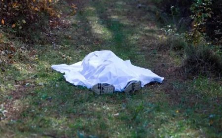 Tbilisidə itkin düşən şəxsin meyiti dərədə tapılıb