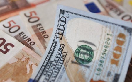 Ötən il Gürcüstandan xarici ölkələrə 420 milyon dollar vəsait köçürülüb