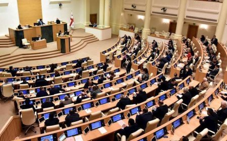 Gürcüstan parlamenti "Qrantlar haqqında" qanuna düzəlişləri təsdiqlədi