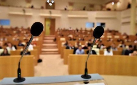 Gürcüstanda miqrasiya qanunvericiliyi dəyişir