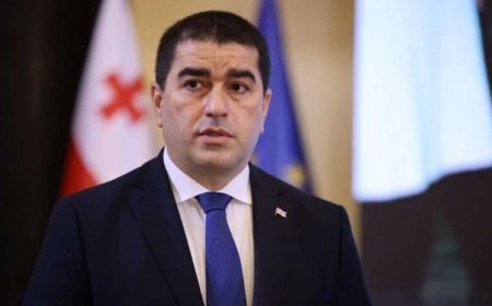 Gürcüstan Avropaya inansaydı, çoxdan məhv olardı