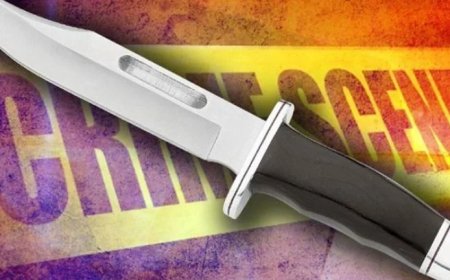 Tbilisidə parkda bıçaqlanma