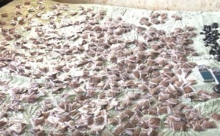 Rustavidə narkotik vasitələrin böyük partiyası ələ keçirildi